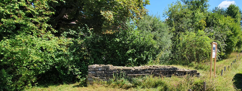 Von uns gebaute Trockenmauer